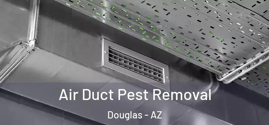  Air Duct Pest Removal Douglas - AZ
