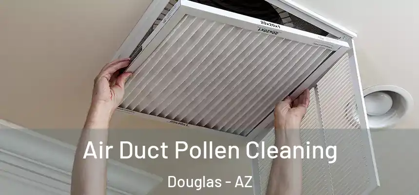  Air Duct Pollen Cleaning Douglas - AZ