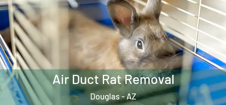  Air Duct Rat Removal Douglas - AZ
