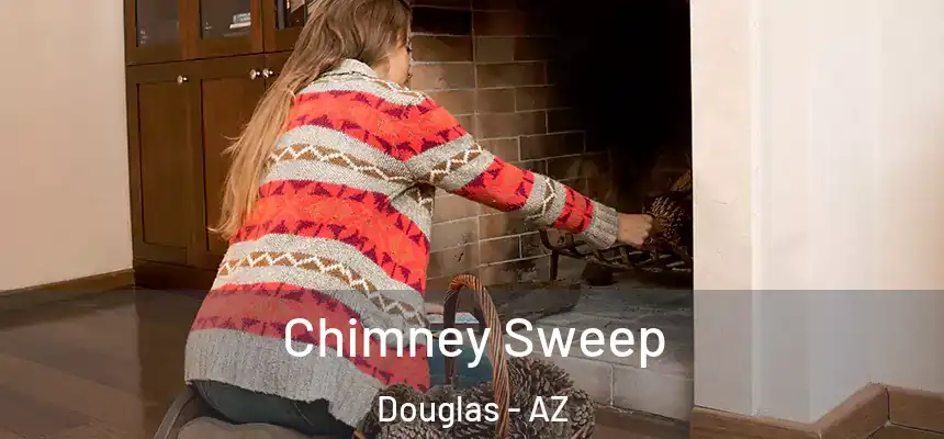  Chimney Sweep Douglas - AZ