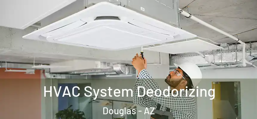  HVAC System Deodorizing Douglas - AZ