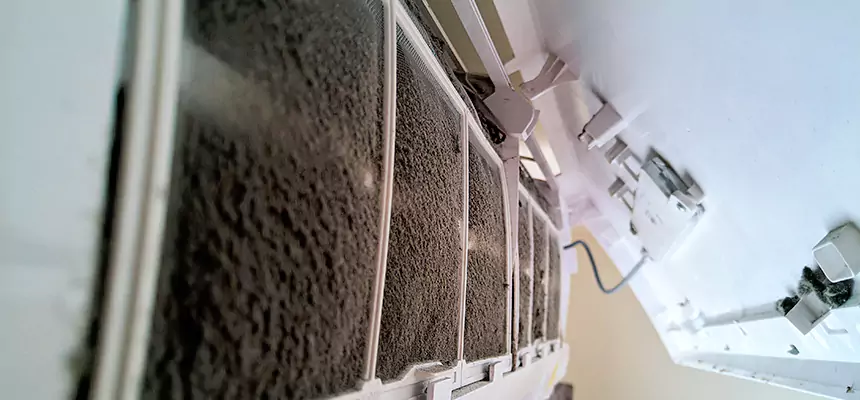 Preventive Air Duct Bacteria Removal in Douglas