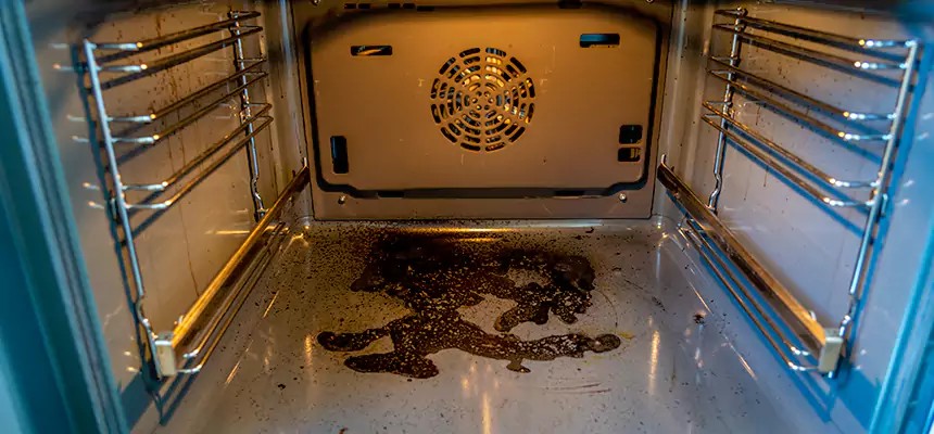 Our Dryer Vent Mold Cleaning Services in Douglas, AZ