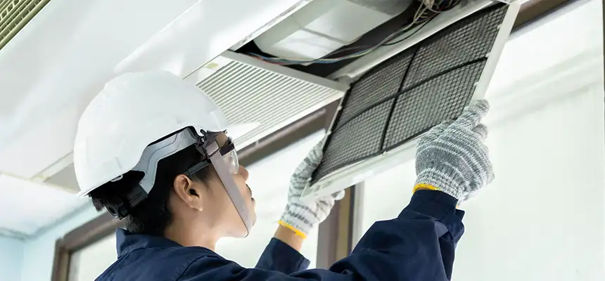 Our Lint Trap Cleaning Service Services in Douglas, AZ