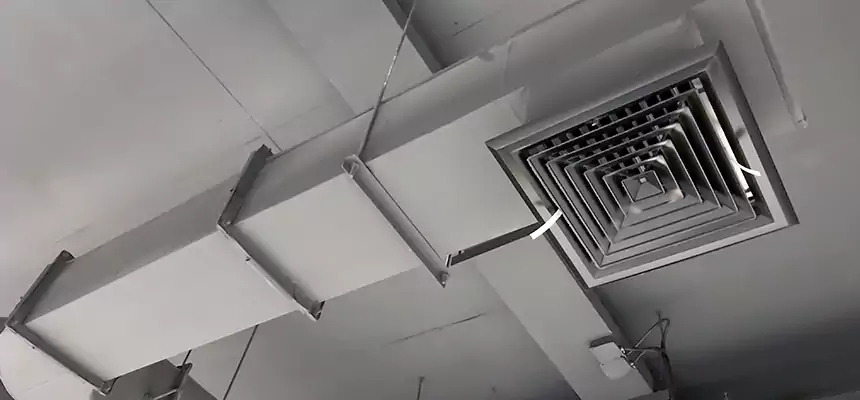 Our Pest Removal From Ducts Services in Douglas, AZ