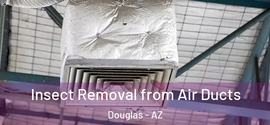  Insect Removal from Air Ducts Douglas - AZ