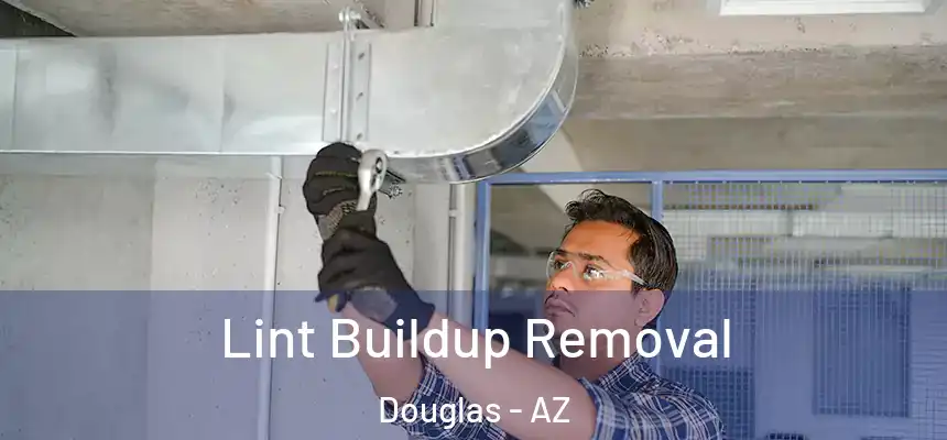  Lint Buildup Removal Douglas - AZ