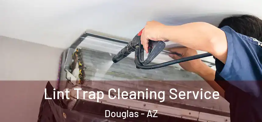  Lint Trap Cleaning Service Douglas - AZ