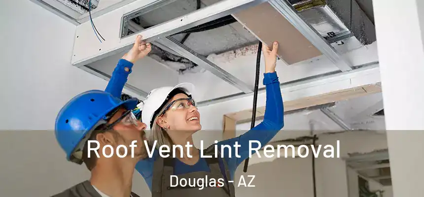  Roof Vent Lint Removal Douglas - AZ