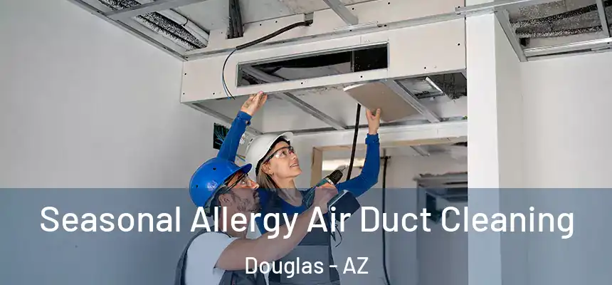  Seasonal Allergy Air Duct Cleaning Douglas - AZ