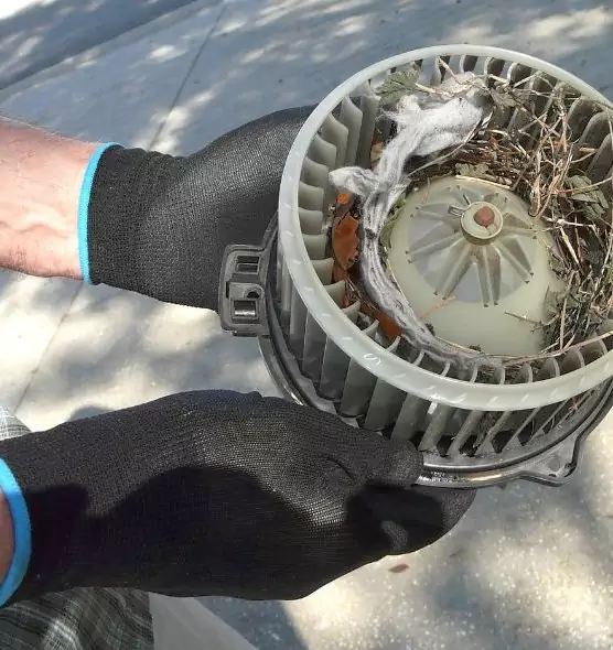 About Air Duct Rat Removal in Douglas, AZ