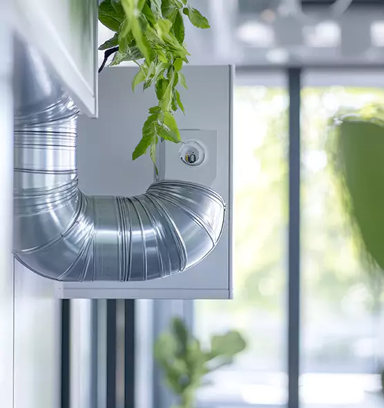 Professional Eco-Friendly Duct Cleaning Services in Douglas, AZ