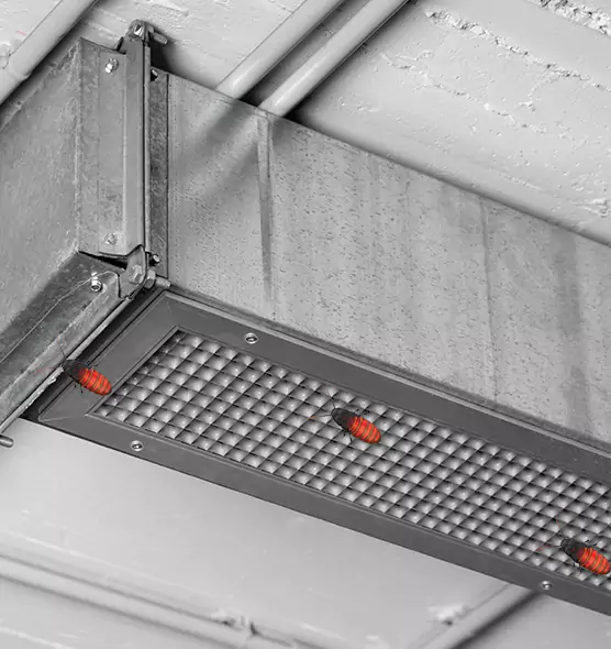 Affordable Insect Removal from Air Ducts in Douglas, AZ