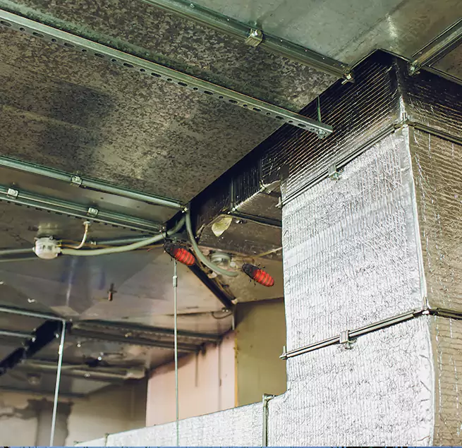 Why Homeowners & Businesses Trust Us in Douglas, AZ?