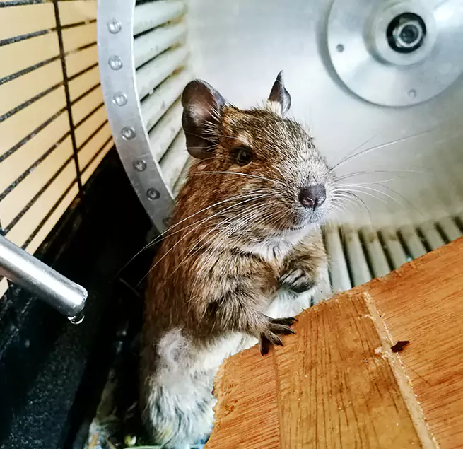 Why Homeowners & Businesses Trust Us Douglas, AZ