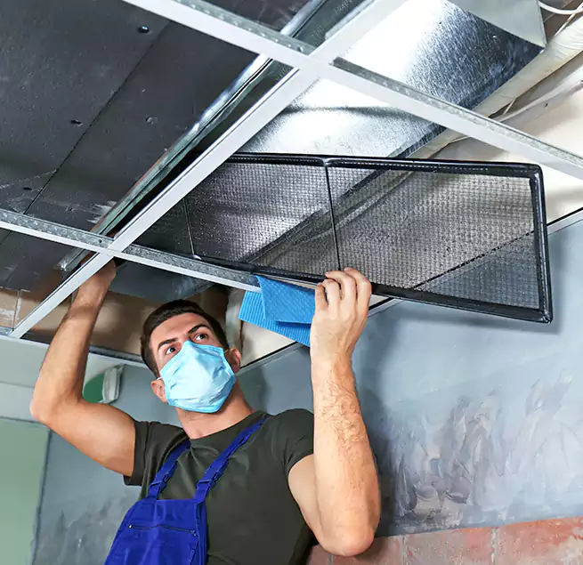 Why Homeowners Businesses Trust Us in Douglas, AZ