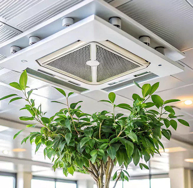 Why Homeowners & Businesses Trust Us in Douglas, AZ?