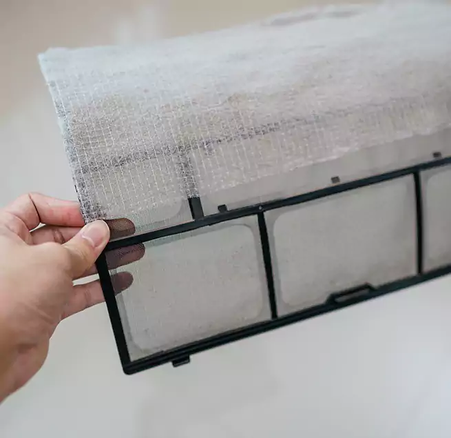 Why Homeowners & Businesses Trust Us in Douglas, AZ?